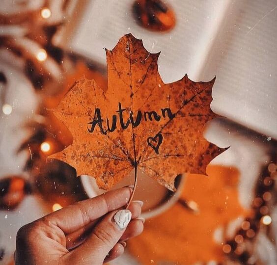 Hand holding autumn leaf with